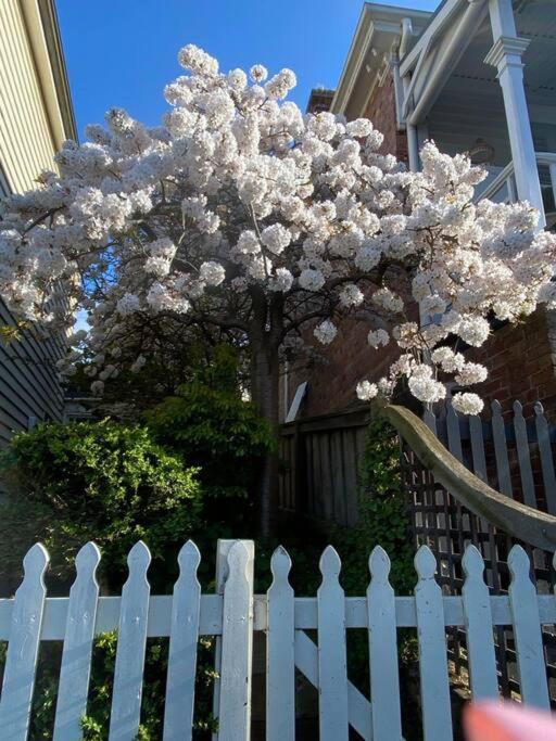 Charming Cottage Nestled In Prime Location Launceston Eksteriør billede